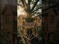 Timelapse Building a Treehouse by Hand! DIY Treehouse From Scratch #shorts #timelapse