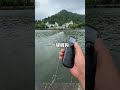 Blue Sky Star Journey top-of-the-line 24V, long-distance netting and targeted baiting.