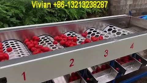 Big Tomato Sorting Machine, Drum Type Size Grader Machine +86 13213238287