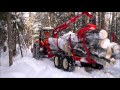Logging with a Farm Tractor in the Boreal Forest of Northeastern U.S.A. - Chapter 3