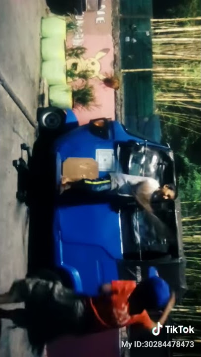 Obat Tik Tok