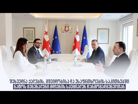 შეხვედრა  ნატოს გენერალური მდივნის სპეციალურ წარმომადგენელთან