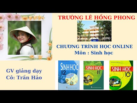 Video: Sinh Vật Tự Dưỡng Và Sinh Vật Dị Dưỡng: Vai Trò Của Chúng Trong Hệ Sinh Thái