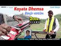 Koyata Dhemsa - Banjo Version | गोंडी बॅंजो धून | New Gondi Songs 2022 | Jimmy Studio