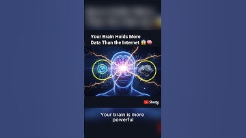 Your Brain Holds More Data Than the Internet 😱🧠 #lifejesting #facts