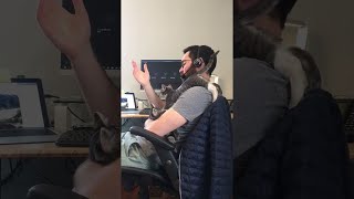Working at Home With Kittens Can be Tough Work || ViralHog