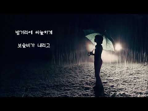 손현희 - <strong>애수</strong>