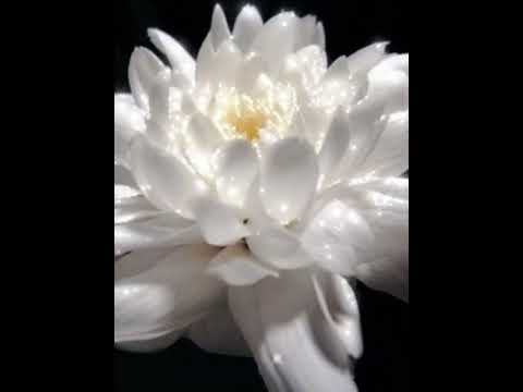 ДОБРОЙ НОЧИ / Relaxing music / Beatiful music /Romantic / Приятные пожелания спокойной ночи
