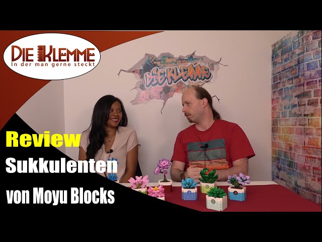 Review: Sukkulenten von Moyu Blocks