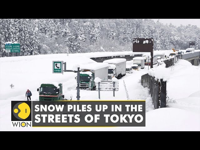 Weatherwatch: Tokyo experiences rare late-March snowfall