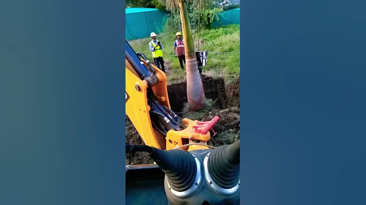 #jcb #tree transplant #shorts #reels #hyrda