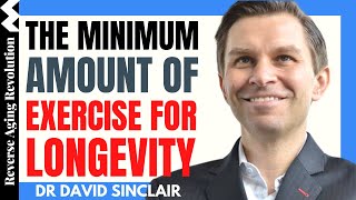 The Minimum Amount Of Exercise For Longevity | Dr David Sinclair Interview Clips