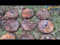 На Золочівщині сапери ДСНС знищили 9 протитанкових мін