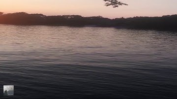 محمد رشاد الشريف سورة المؤمنون 23 مصطفى غريب