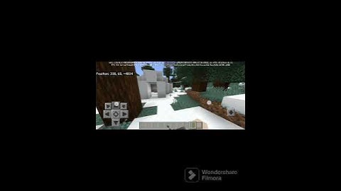 Different type of players in igloo #minecraft