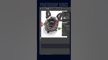 Clone Source Option: The Secret to Fix Pet Eye in Photoshop