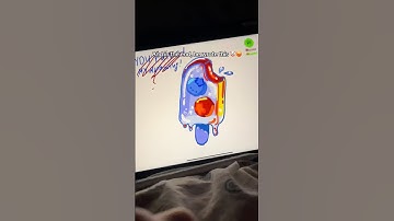 ArtWorkout app 🪄 #artistofyoutube #art #workingartist #procreate #drawing #artshorts #digitalart