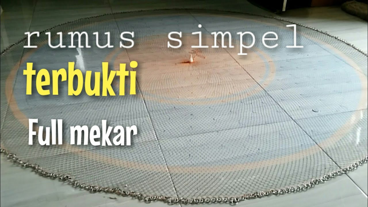 ПРОВЕРЕННАЯ FULL MEJA, НОВАЯ ФОРМУЛА AWALAN 40