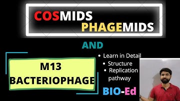 Cosmids, Phagemids and M13 Bacteriophage | Recombinant DNA Technology || Bio-Ed