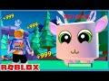 Noob VS Roblox Pet Battle Simulator