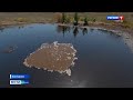 Крымский Техас: под Керчью из-под земли вытекает нефть