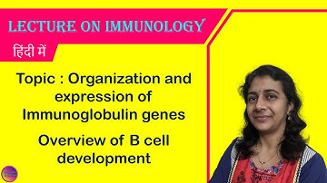 Immunology Lecture : Overview of B cell development | हिंदी में | Solving Questions with Gauri ma’am