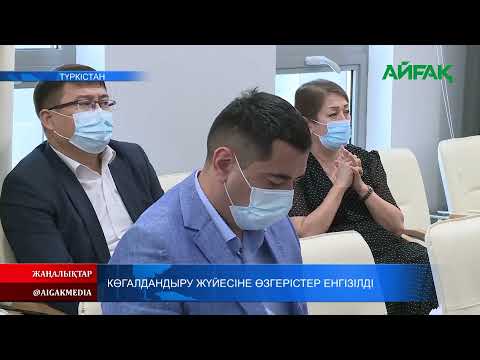 Бейне: Кеңсе ғимараттарын көгалдандыру