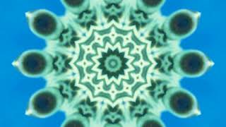 Kaleidoscope Kwiz 176. You have about 30 seconds to guess.