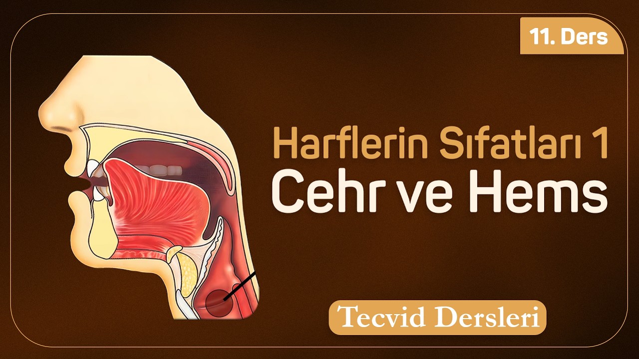 Harflerin Sıfatları 1 | Cehr ve Hems | Tecvid Dersleri 11
