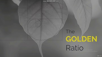 Layout Theory  Introduction to Grids in Design