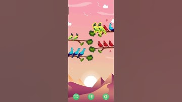 Bird sort #shortvideo #trendingshorts #youtubeshorts #birds #cute 😭