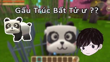 Mini World Block Art: Liệu Gấu Trúc Có Bất Tử Hay Không Đây