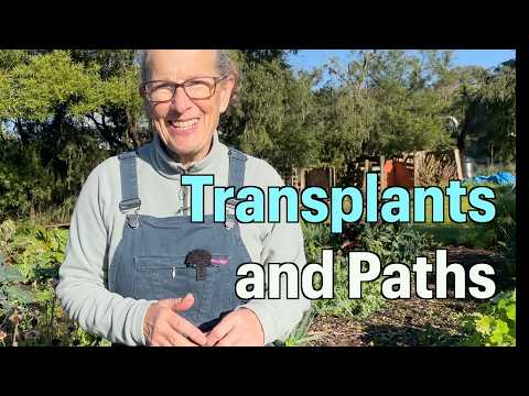Moving Plants and Making Another Path | Diary  of a Permaculture Gardener Ep 40