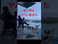 2800円の竿にエグい引きする魚が来た…#shorts #釣り #fishing