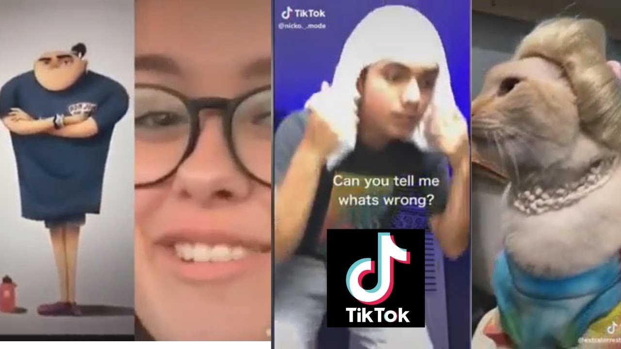 tik toks that made me lose my last remaining brain cells - YouTube