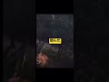 何回見ても面白い笑#shorts