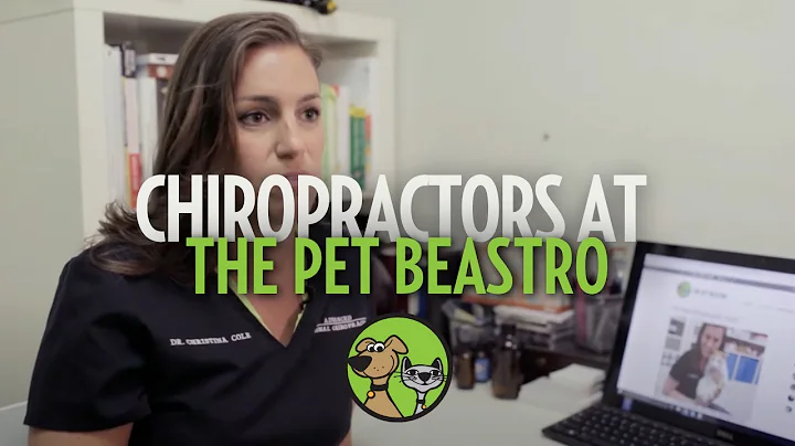 Meet Dr. Christina Cole