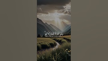 قرآن كريم#ارح_سمعك #fypシ #explore #ارح_قلبك #foryou #ارح_سمعك #quran #حالات #راحه #دعاء #اكسبلور