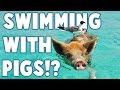 Strangest Places to Swim