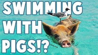 Strangest Places to Swim