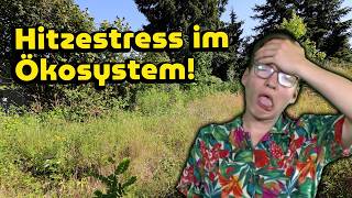 Heat stress in the ecosystem! How nature suffers!
