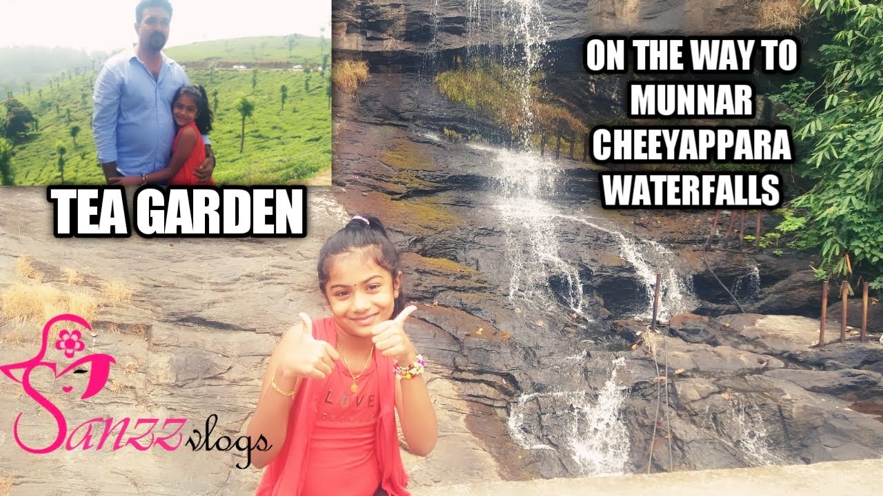 On the way to Munnar||CHEEYAPPARA WATERFALLS IN ADIMALY-MUNNAR|| Tea garden