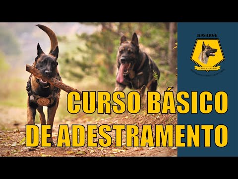 Curso Básico de Adestramento - Capítulo 1- A História dos Cães e do Adestramento.