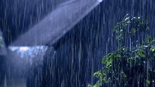 Strong Rain Thunderstorm for Sleeping | Hard Rain on Tin Roof,Very Intense Thunder Sounds at Night#1