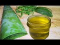 3 Ways To Make Aloe Vera Oil | DIY Aloe vera oil | aloe vera oil for hair growth | Aloe Vera | NTNP