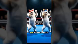 Instead of Fighting, These Two Cats Dance in a Ring! #FunnyCats #DancingCats #FunnyCats #cat