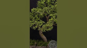 1/48 Scale Tree DIY Diorama #airbrush #weathering #realistic #tutorial #howto #scalemodel #diorama