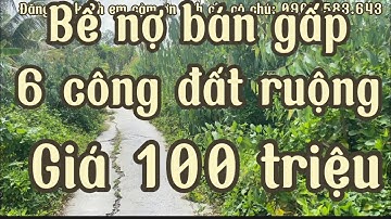 Bể nợ bán gấp 6 công đất ruộng mặt tiền đường dal giá rẽ 100 triệu/1000m2 Giồng riềng kiên Giang
