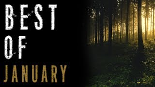 The Best of January (Ghost Stories, Humanoid Encounters, Paranormal Stories) | Mr. Davis