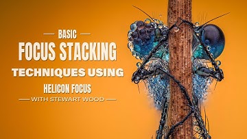 Basic focus Stacking Techniques with Helicon Focus | Tip & Tricks